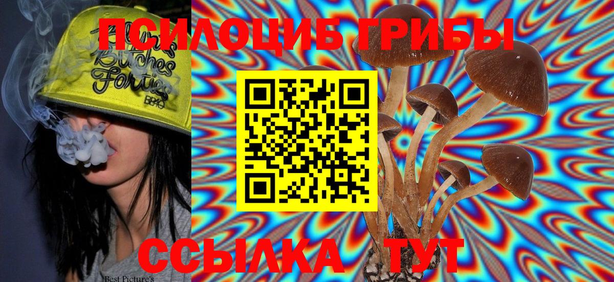 Тельмана  где продают   Вход с VPN  Псилоцибиновые грибы мухоморы 